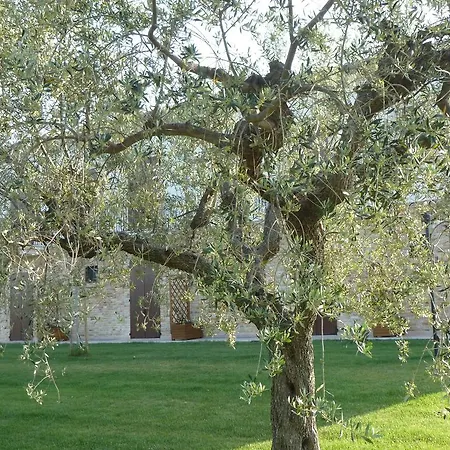 Rustica * Mosciano SantʼAngelo